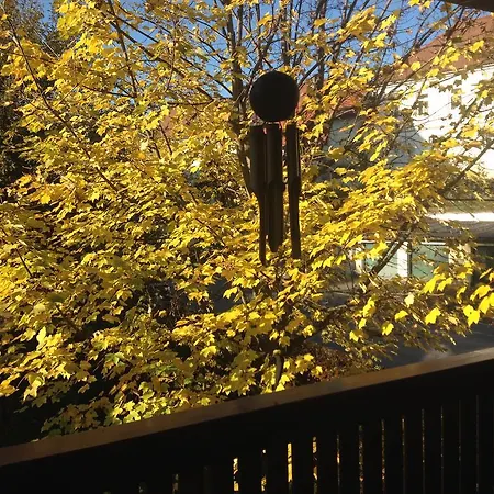 City Vasiri Knittelfeld