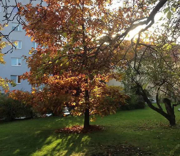 Apartmán Vasiri Knittelfeld