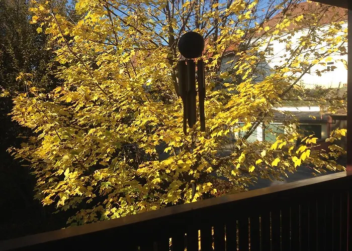 Vasiri Книттельфельд