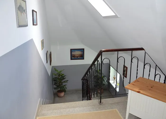 Vasiri Книттельфельд